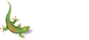 Bostik smart Image
